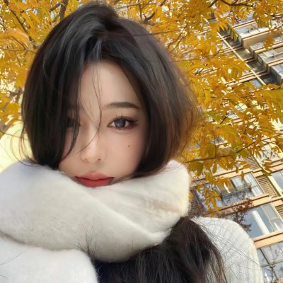 绅士的天启同盟