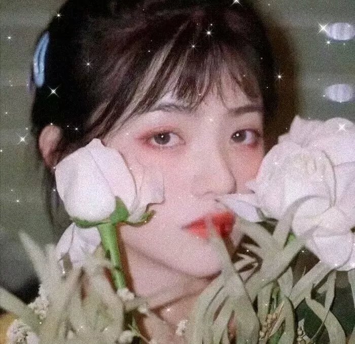 尼罗河女儿